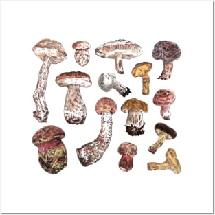Mushrooms Posters and Art